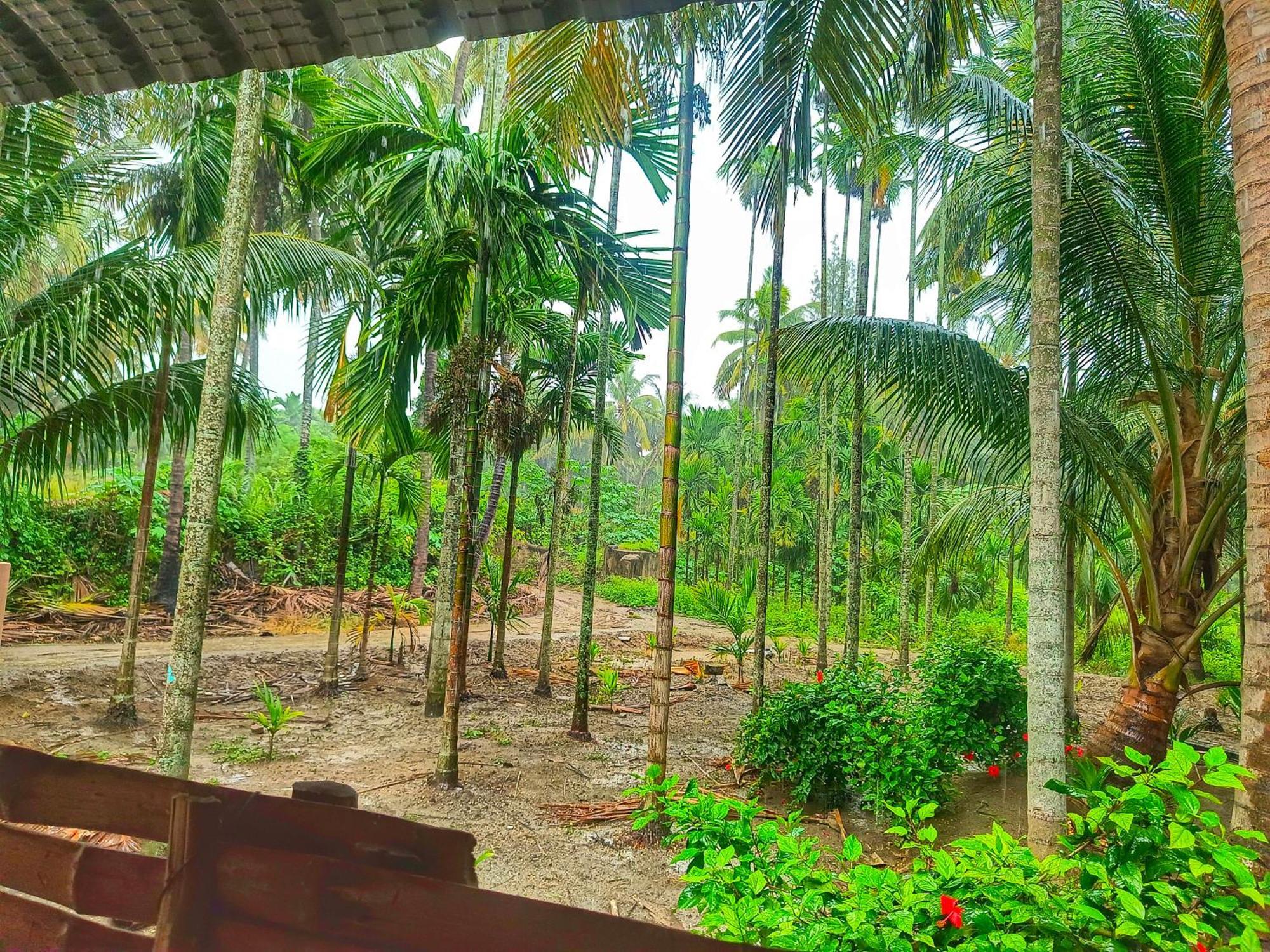 Shivalaya Farmstay Located Amdist Coconut Farm With River Access Near Isha,Adiyogi,Siruvani Alāndurai Εξωτερικό φωτογραφία