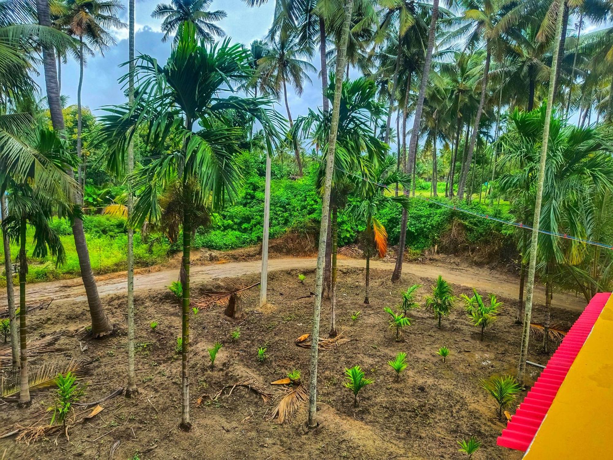 Shivalaya Farmstay Located Amdist Coconut Farm With River Access Near Isha,Adiyogi,Siruvani Alāndurai Εξωτερικό φωτογραφία
